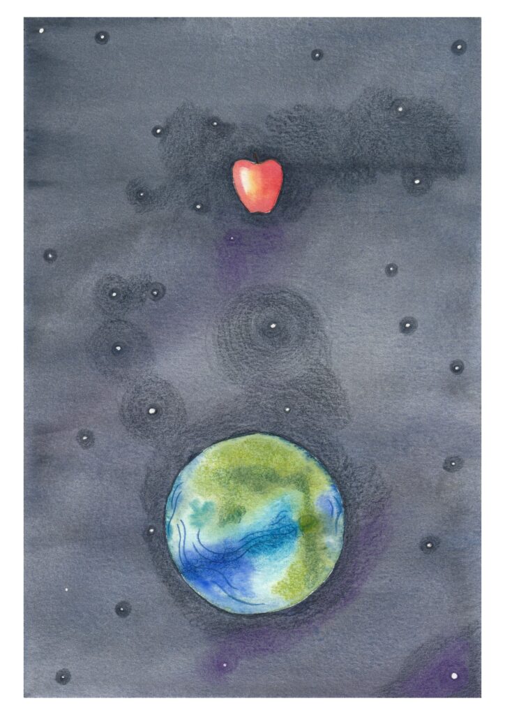 D- Newton gravitational law